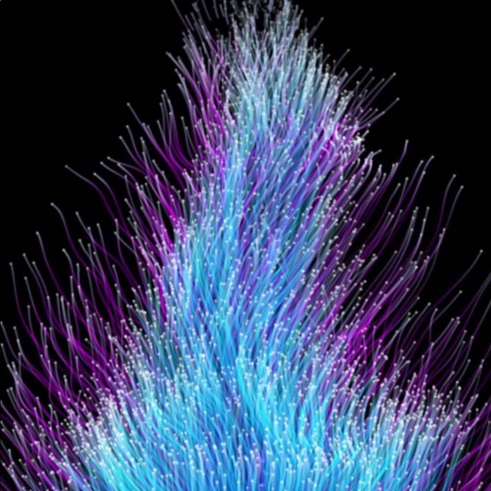 Meet your Posher, Ella